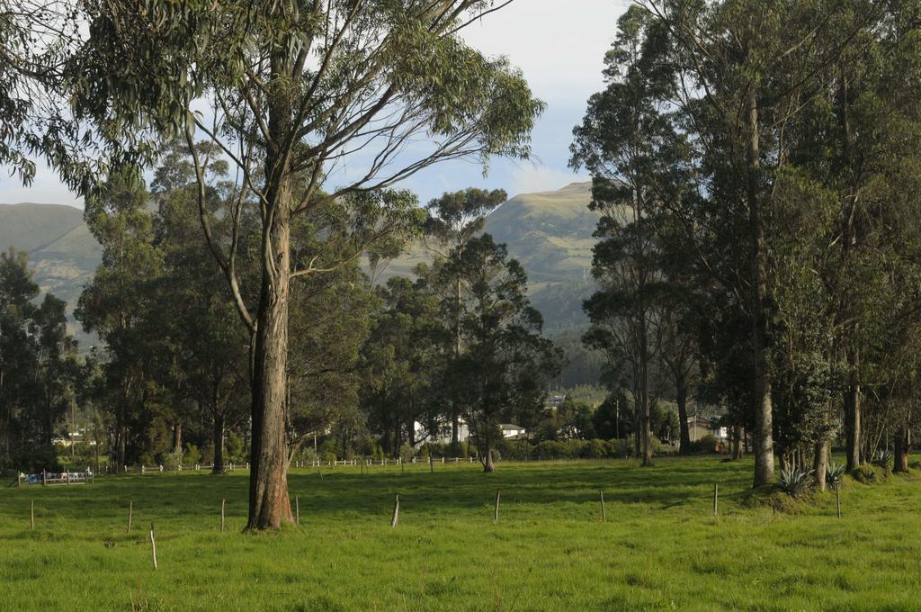 Molino San Juan Bed & Breakfast Cayambe Bagian luar foto