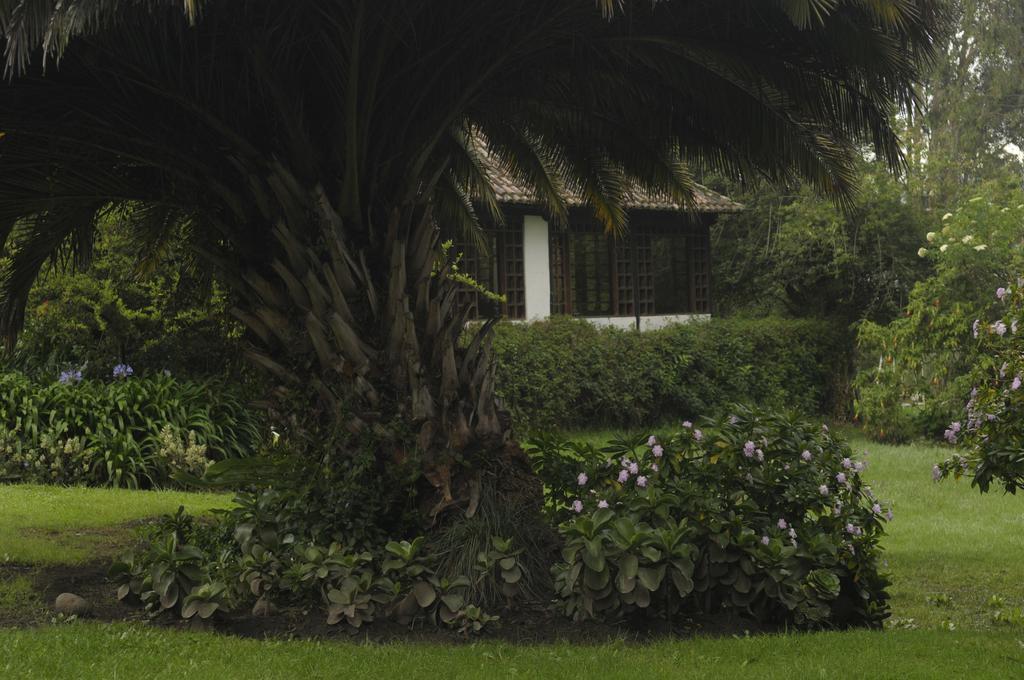 Molino San Juan Bed & Breakfast Cayambe Bagian luar foto
