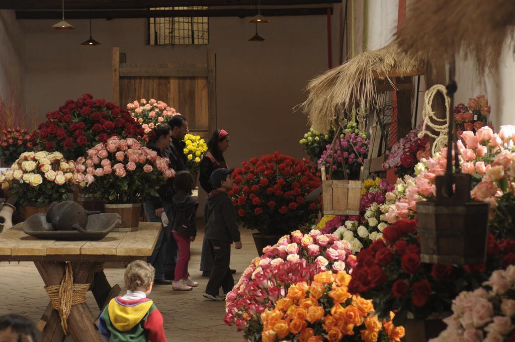 Molino San Juan Bed & Breakfast Cayambe Bagian luar foto