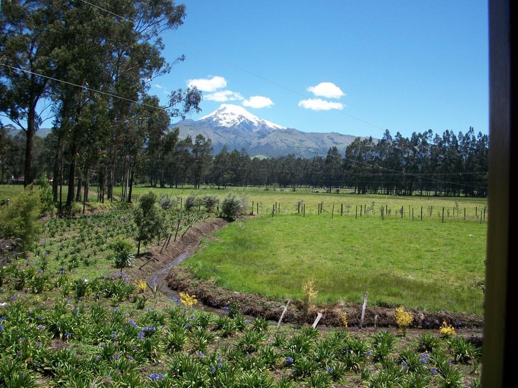 Molino San Juan Bed & Breakfast Cayambe Bagian luar foto